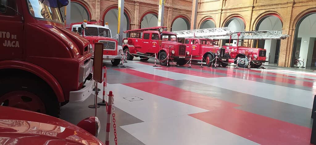 Interactive Forest Fire Zone