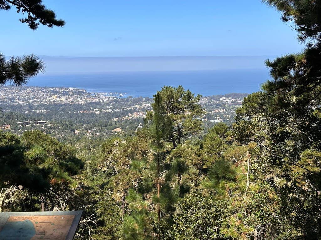 Pacific Banana Slug Sightings