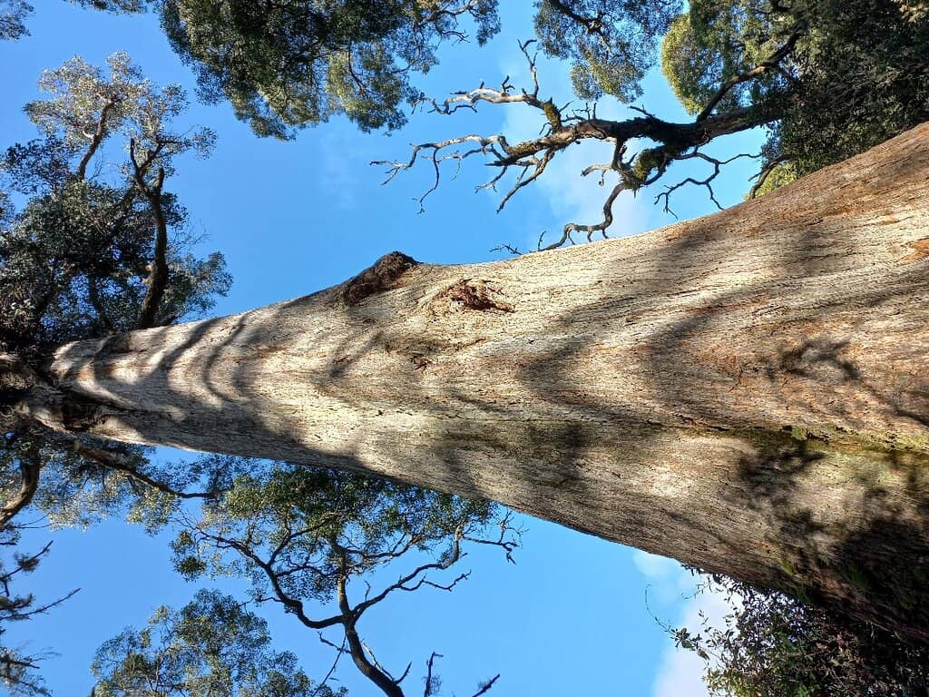 Vertical photo
