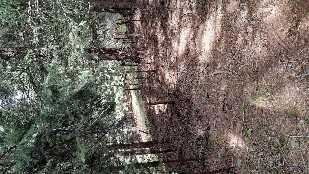 Strategic Mountain Location