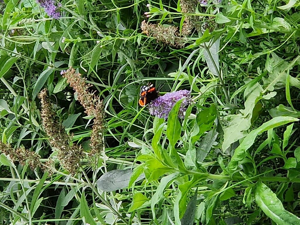 Children's Play Zone