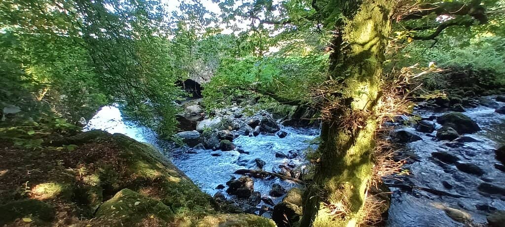 Cascading Waterfalls
