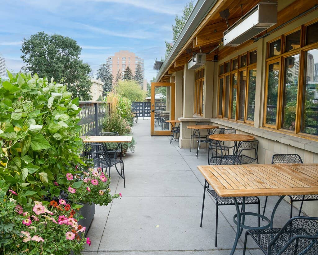 Dry-Aged Alberta Lamb