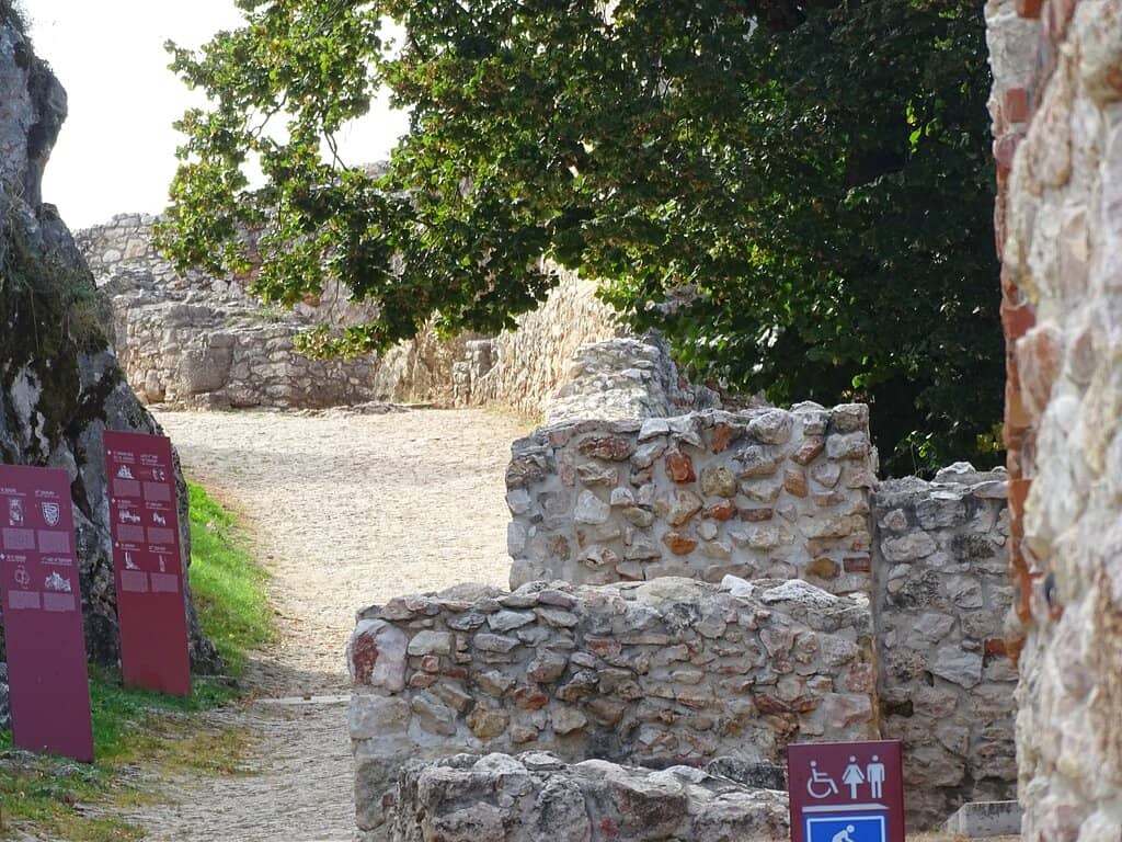 Vertical photo