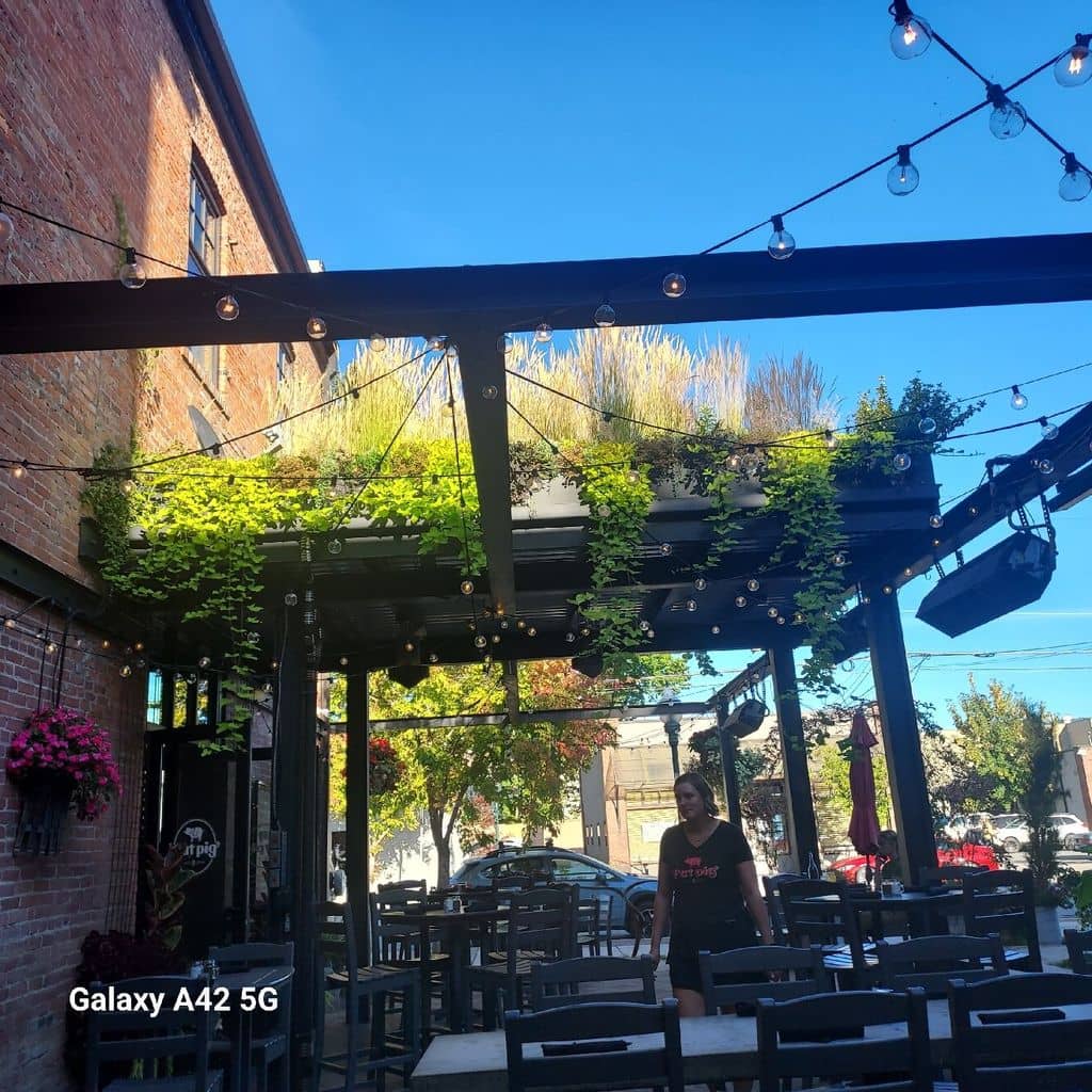 Gorgonzola Tagliatelle