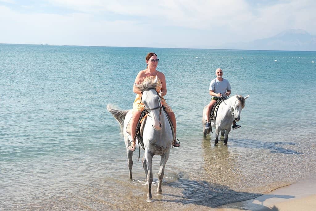 Horseback Riding Adventures