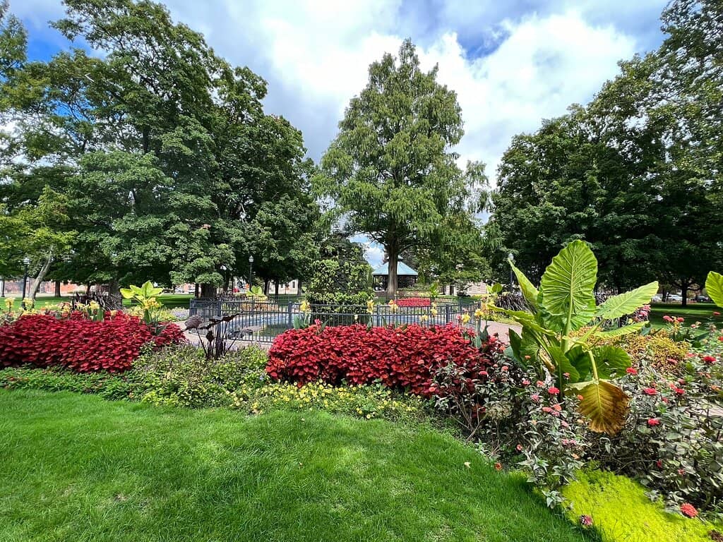 Wizard of Oz Wonderland