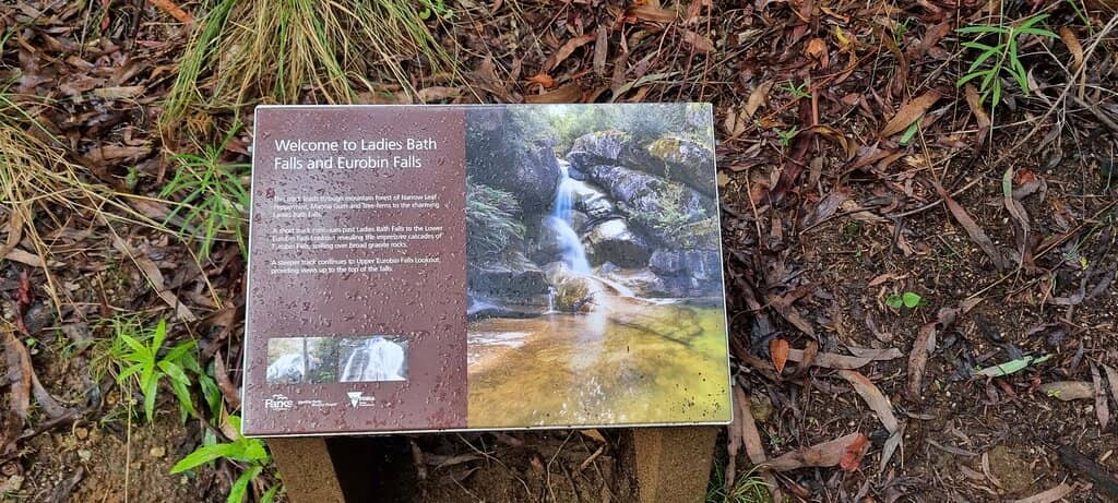 Downstream Rock Pools