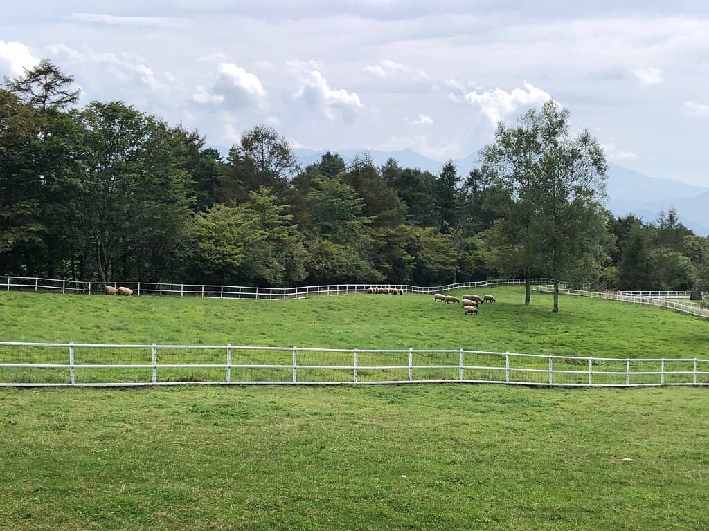 Panoramic Mountain Vistas