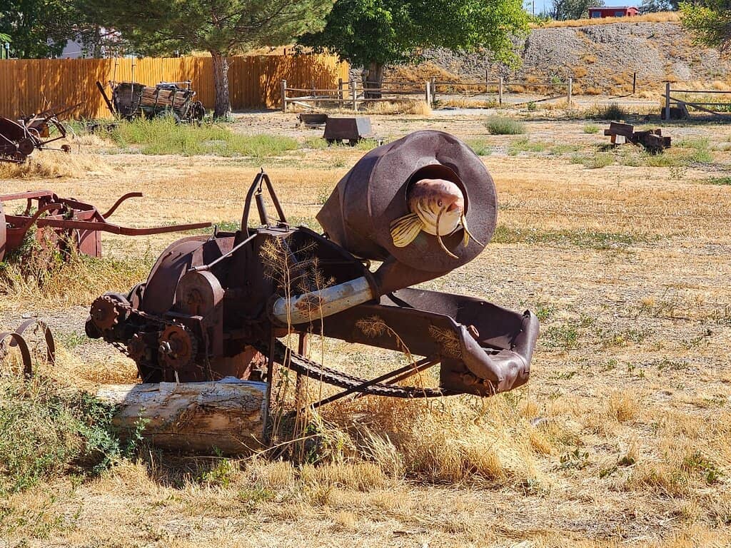 Seasonal Pumpkin Patch