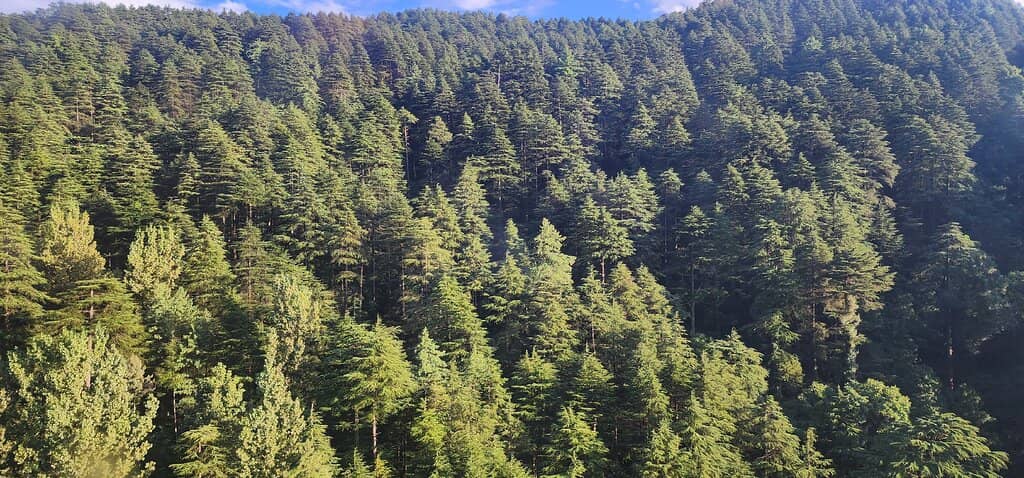 Adventure Activities