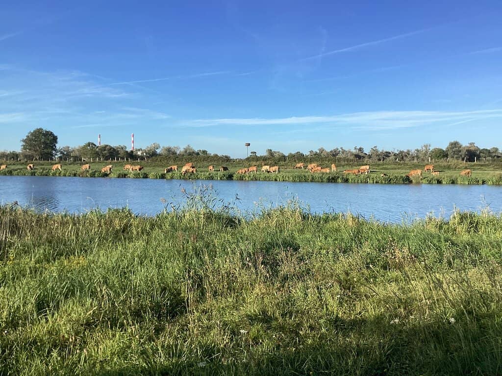 Waterside Walks & Picnics