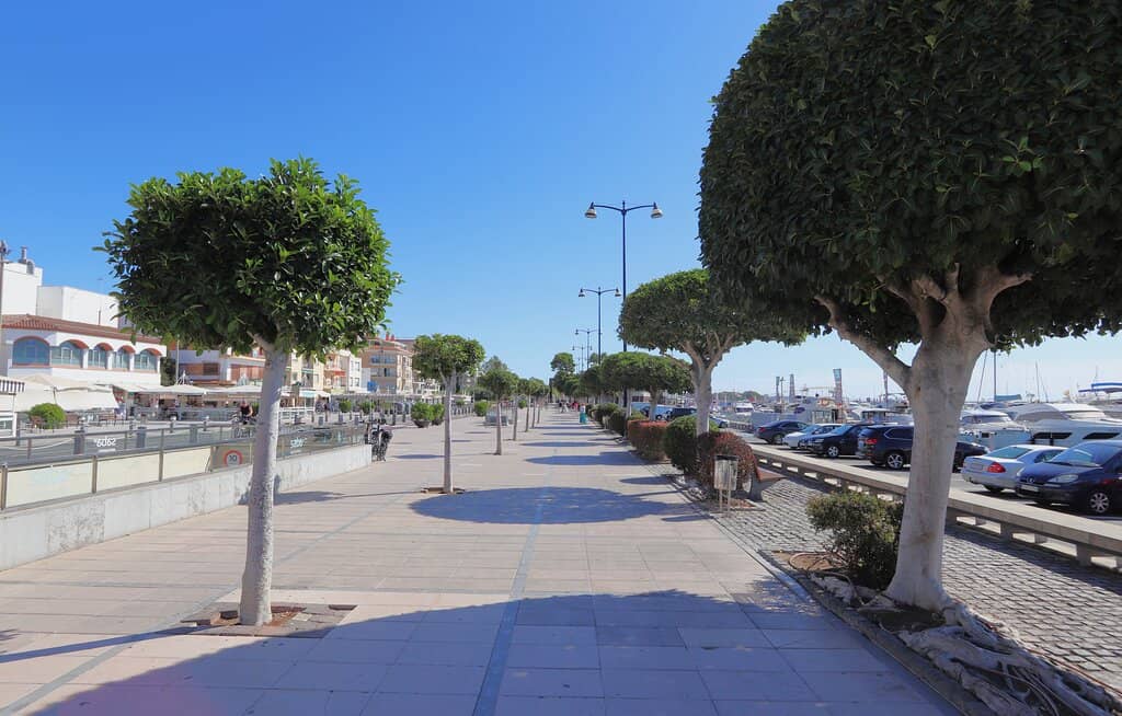 Historical Heritage Displays