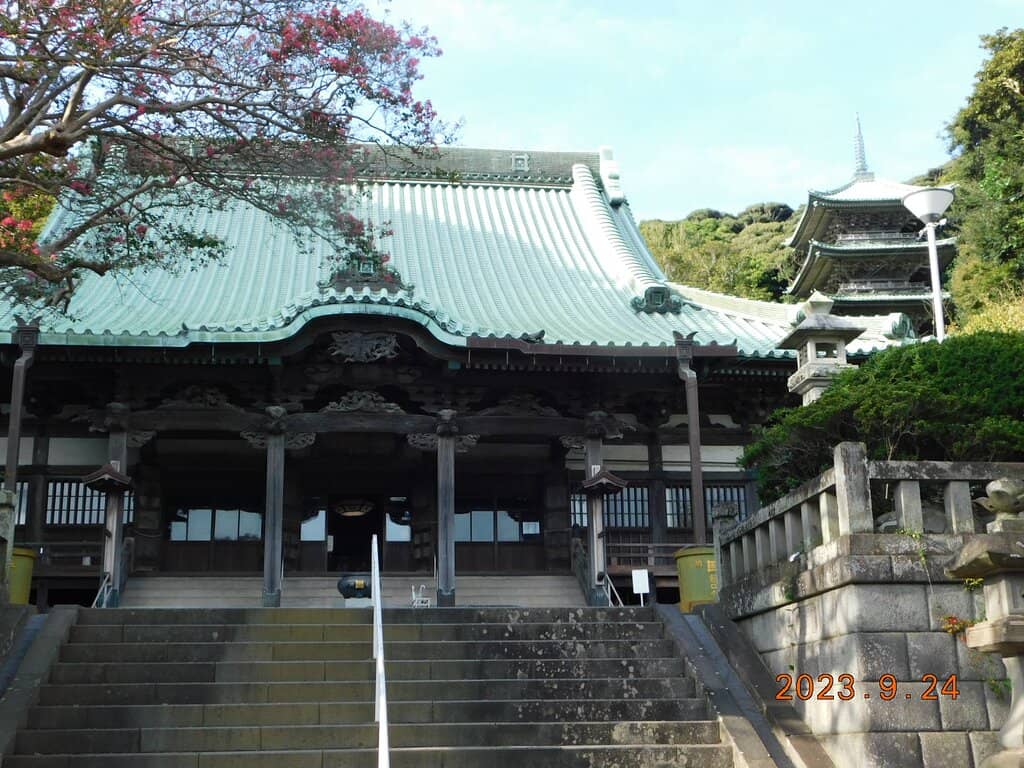 The Pagoda's Panoramic Vista