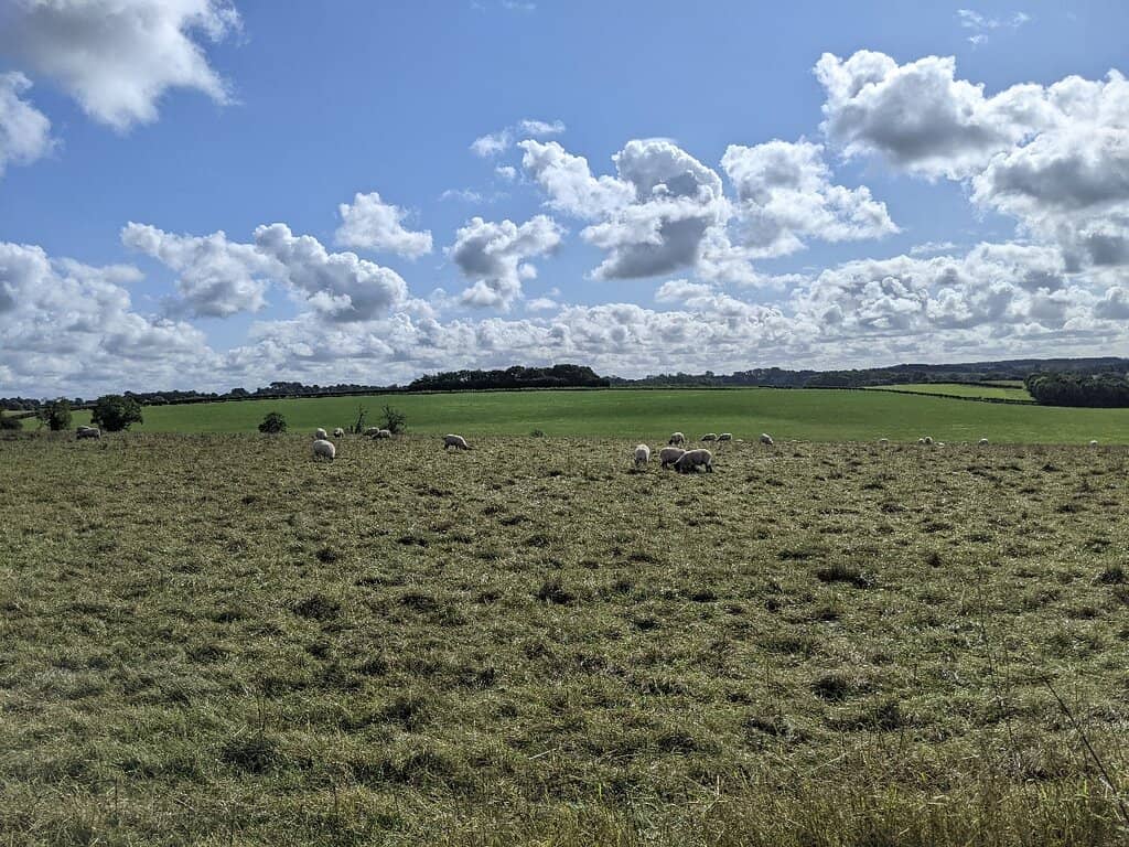 Panoramic Hilltop Views
