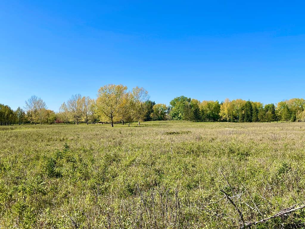 Gaetz Lakes Sanctuary Trails