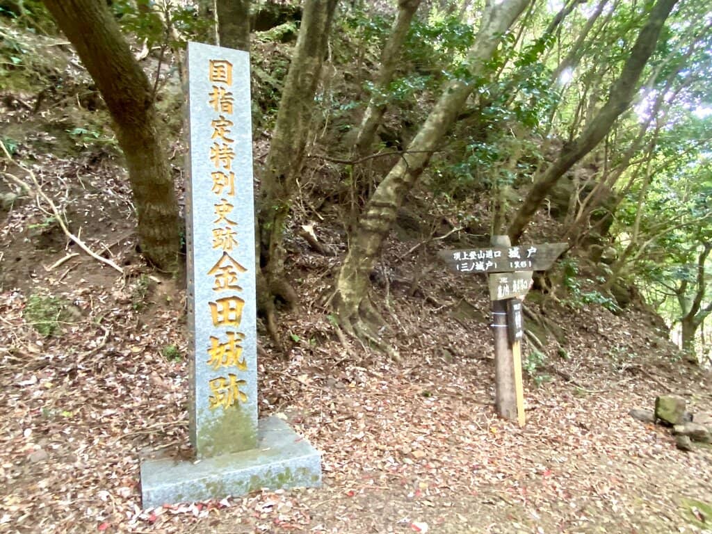 Forested Peninsula Views