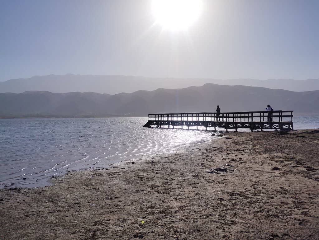 El Mollar's Natural Charm