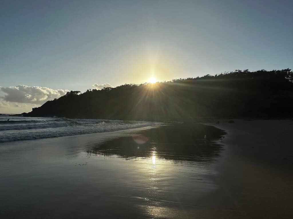 Whale Watching Bench