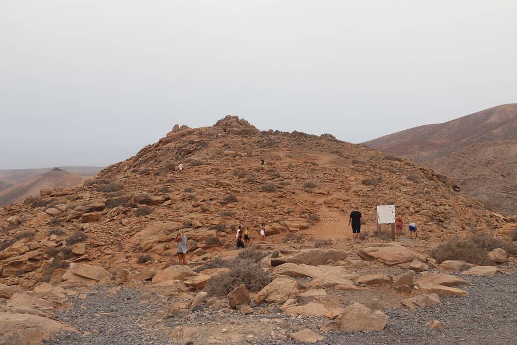 Charming Wildlife Encounters