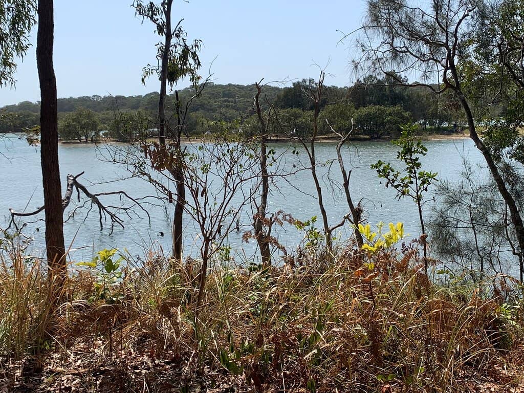 Look At Me Now Headland Walk