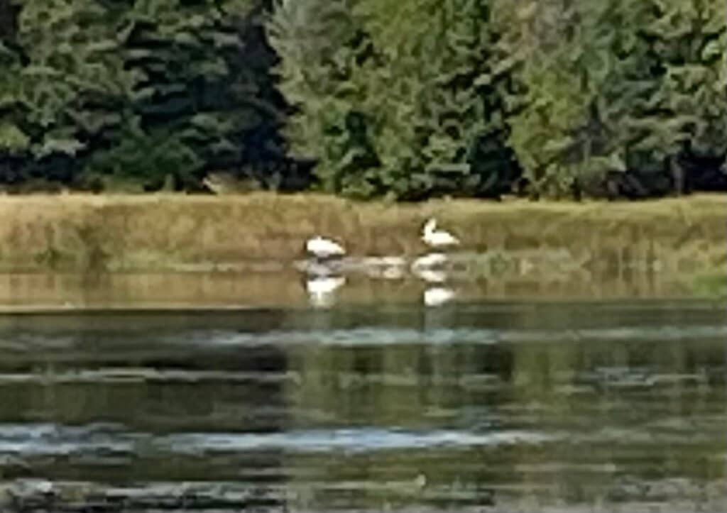 Grinnell Glacier Trail