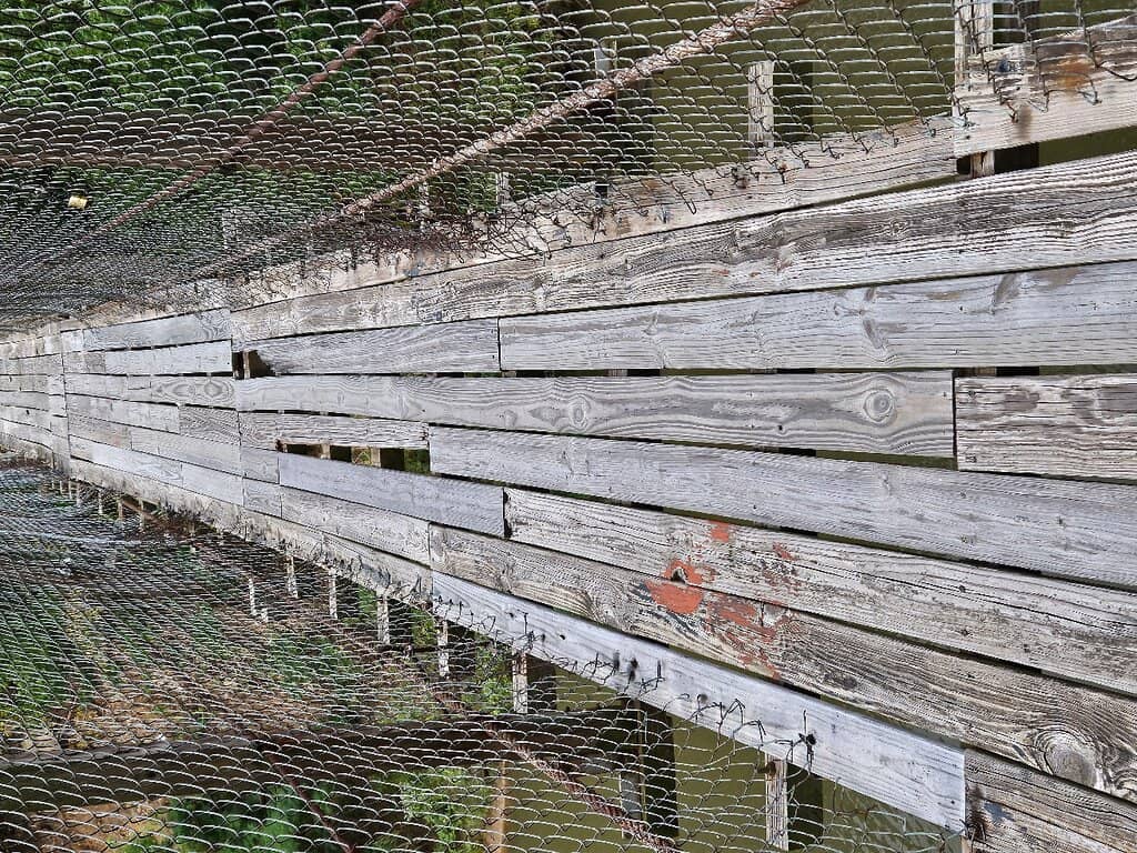 Rustic Charm & Photo Ops