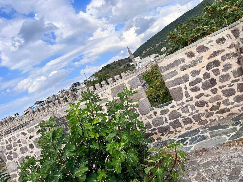 Westernmost Point of Asia Certificate