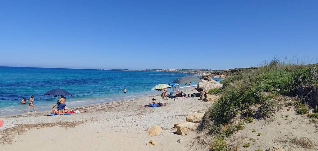 Tranquil Nature Walks