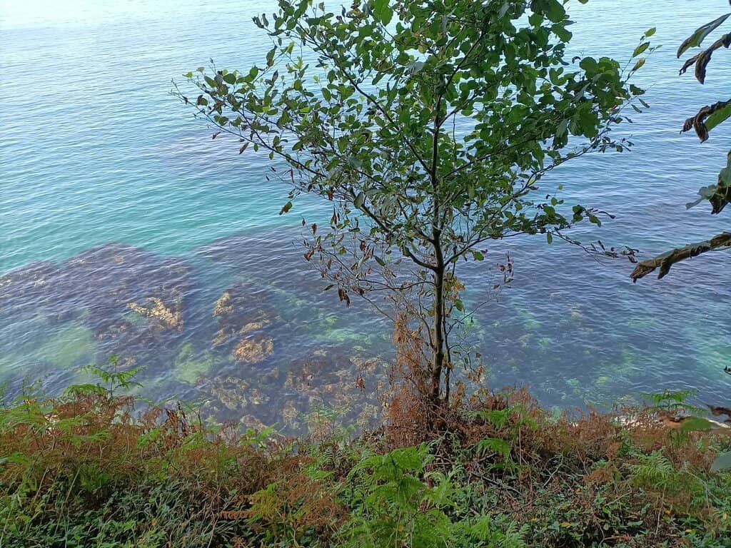 Delicious Local Cuisine