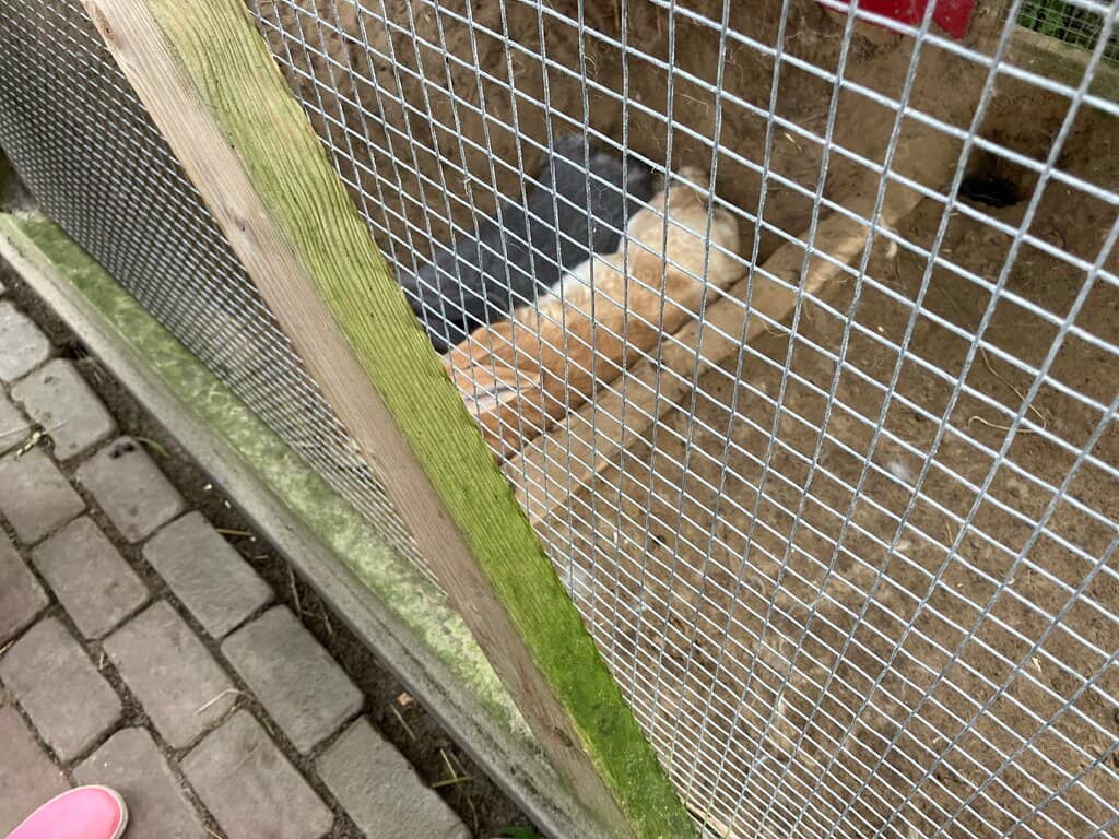 Serene Ponds and Water Features