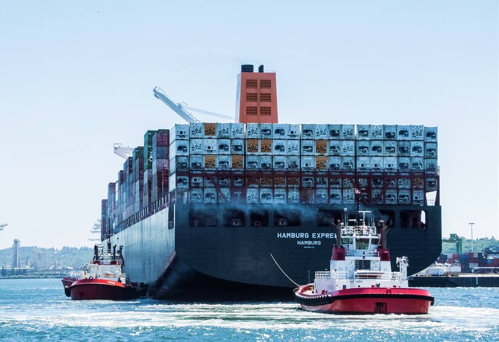 Puget Sound Marine Life