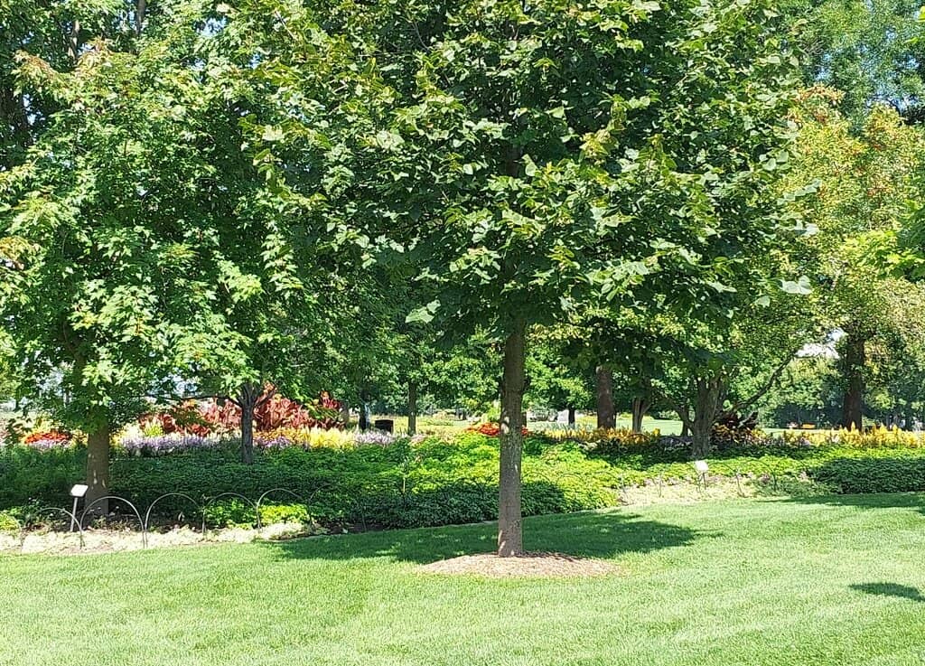 Parliament Hill Views