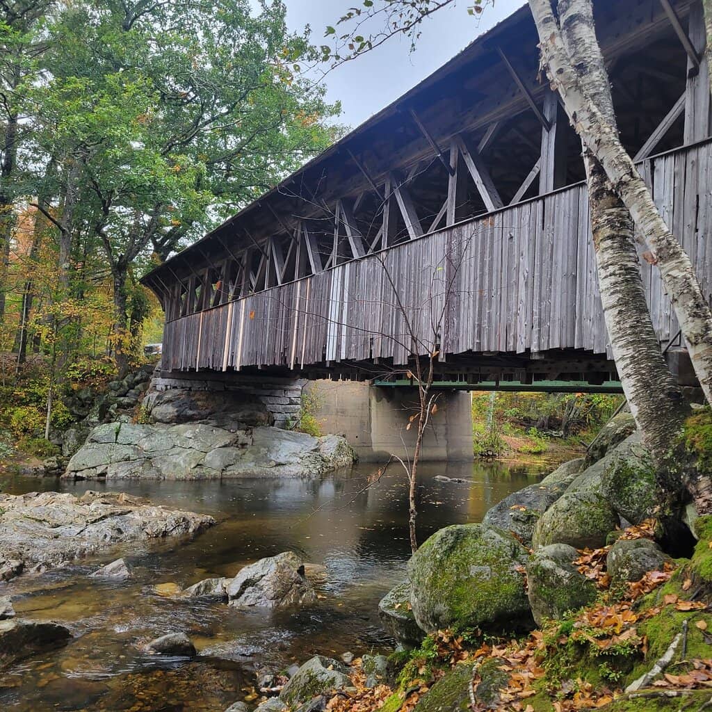 Artisan Studio Tours