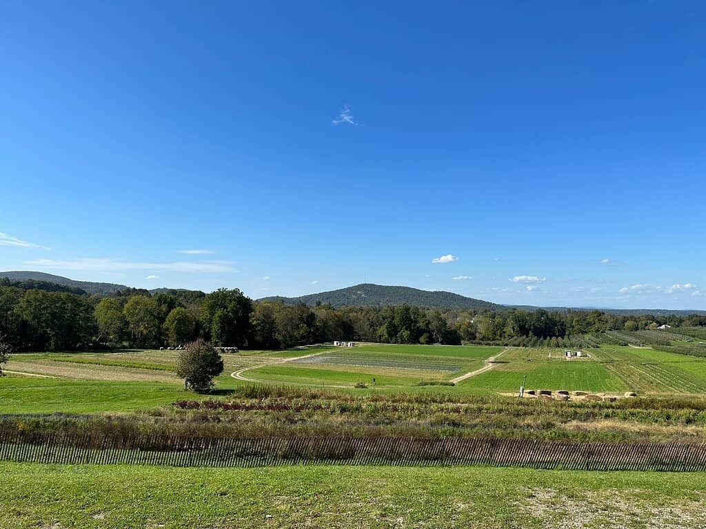 Scenic Views & Photo Ops