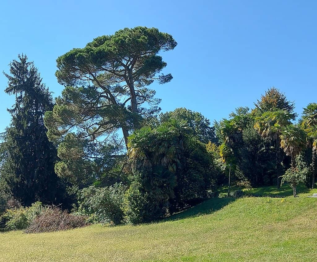 Parco Gioia Playground