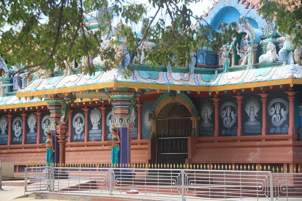 The Annual Aani Festival