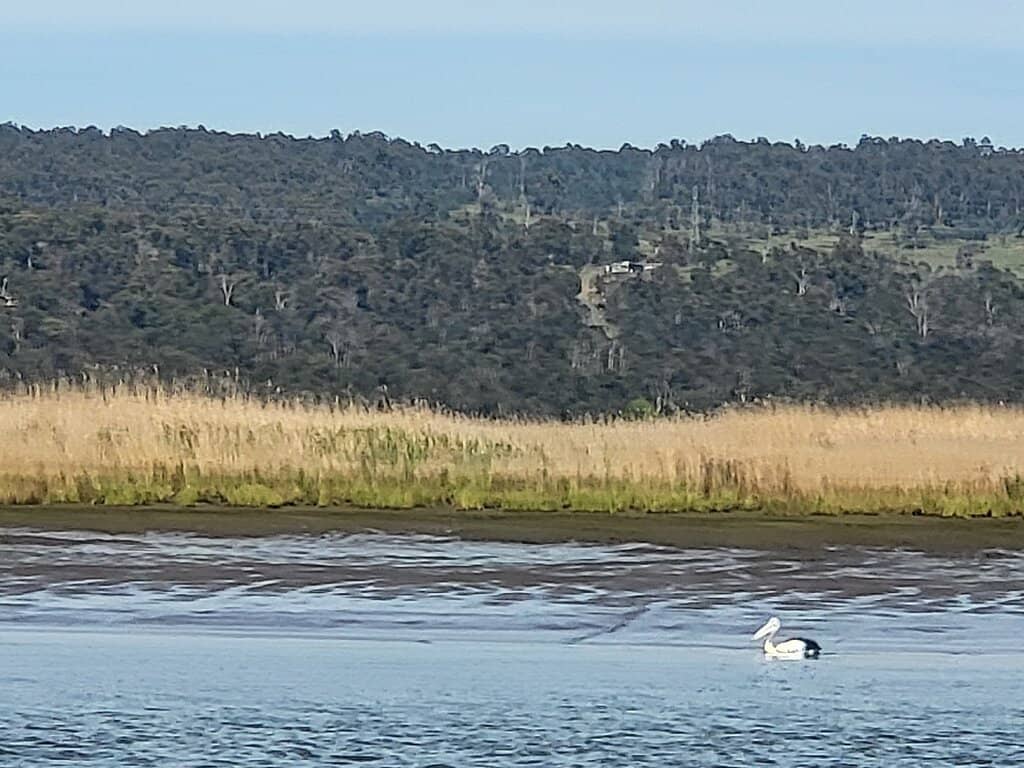 Historic Launceston Waterfront
