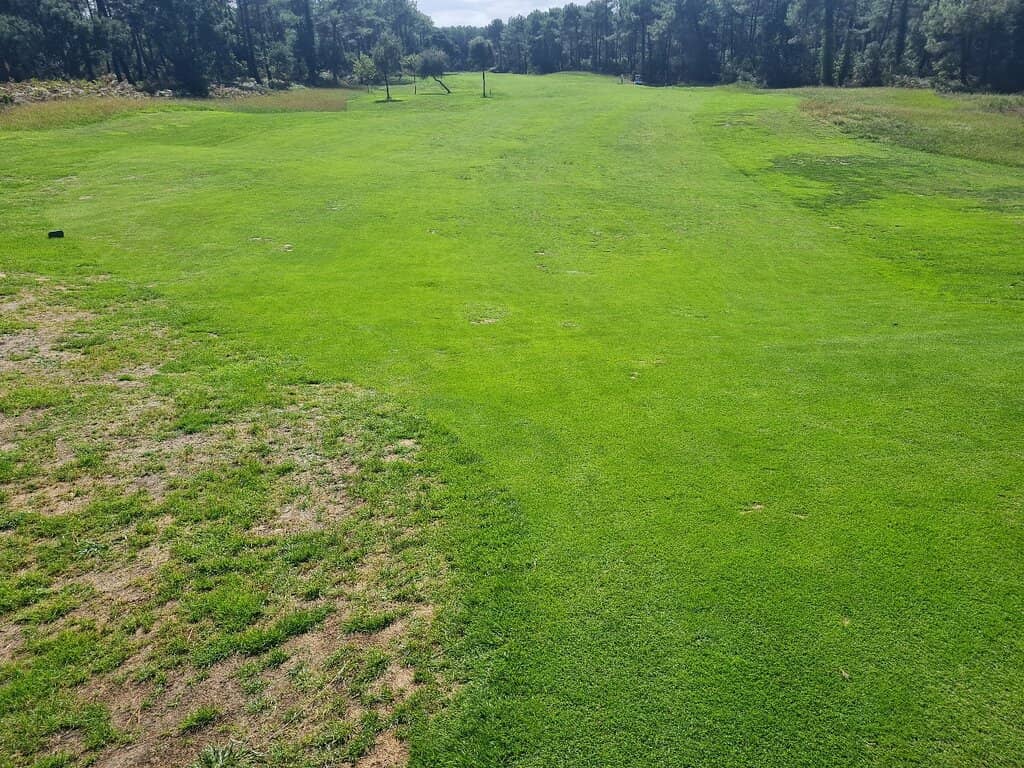 Well-Maintained Greens