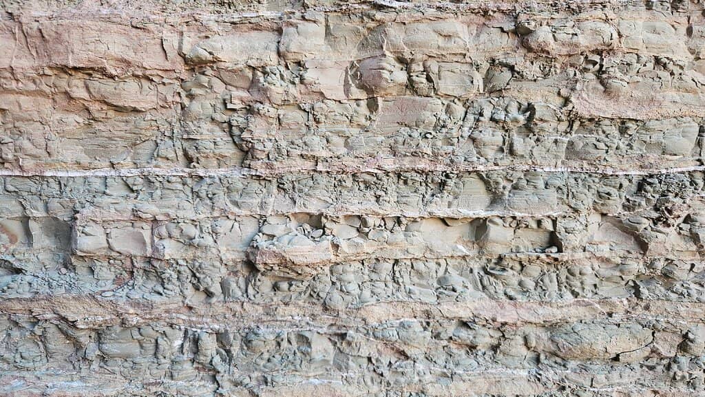 Scenic Hiking Trails