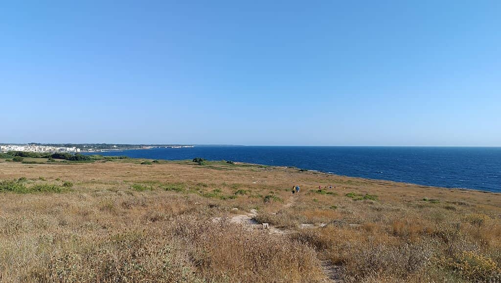 Torre del Serpe Ruins