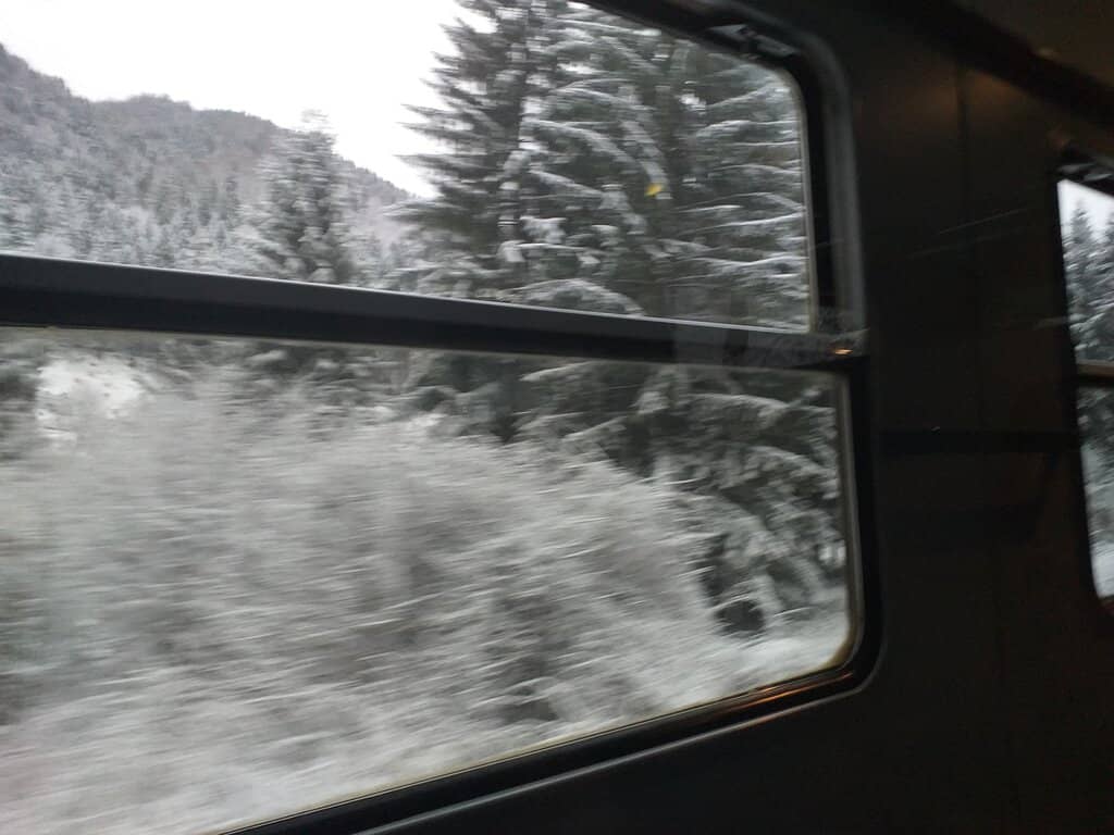 Vertical photo