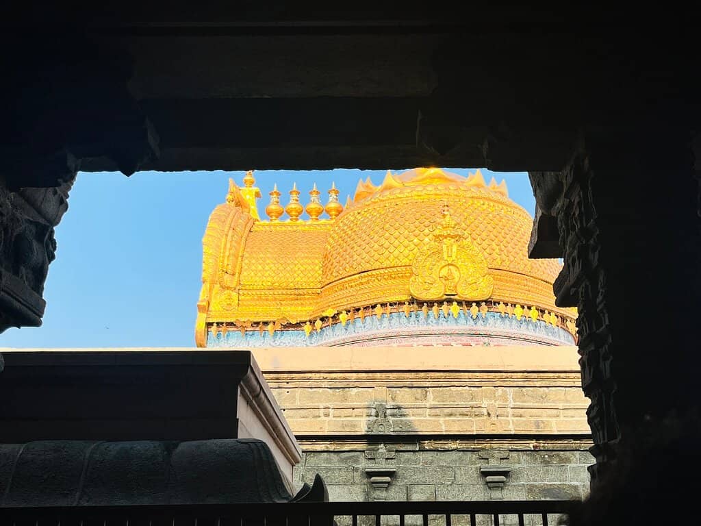 Island Setting on Kaveri River