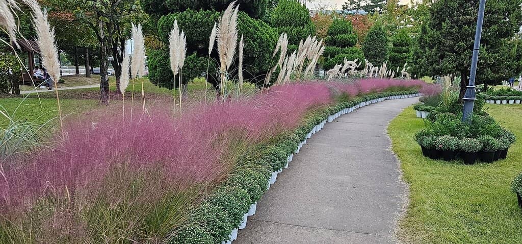 Peaceful Pond Pavilion