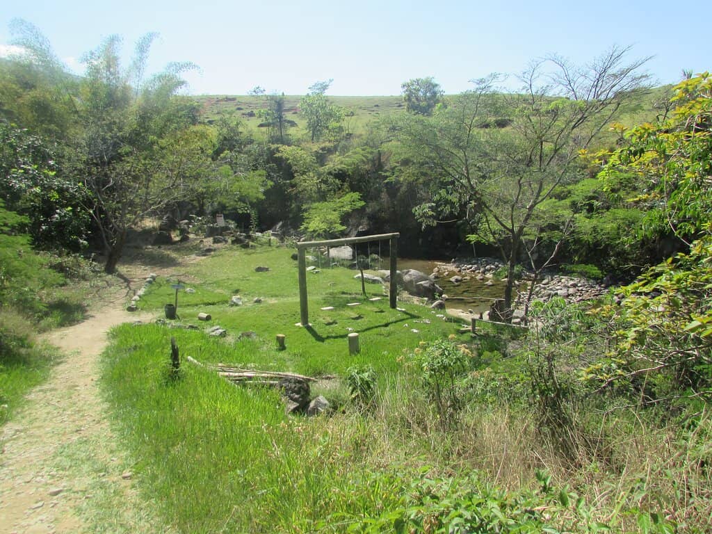 The Challenging Trail