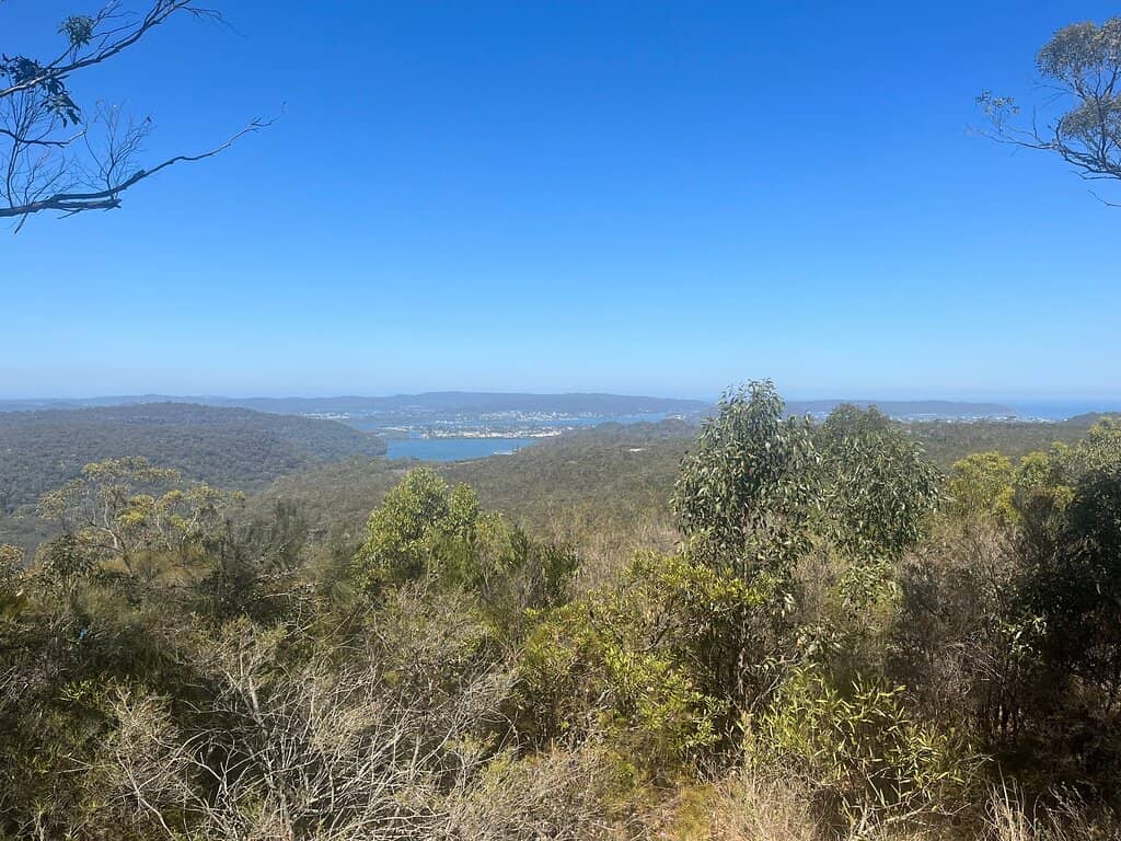 Kariong Brook Falls Trail