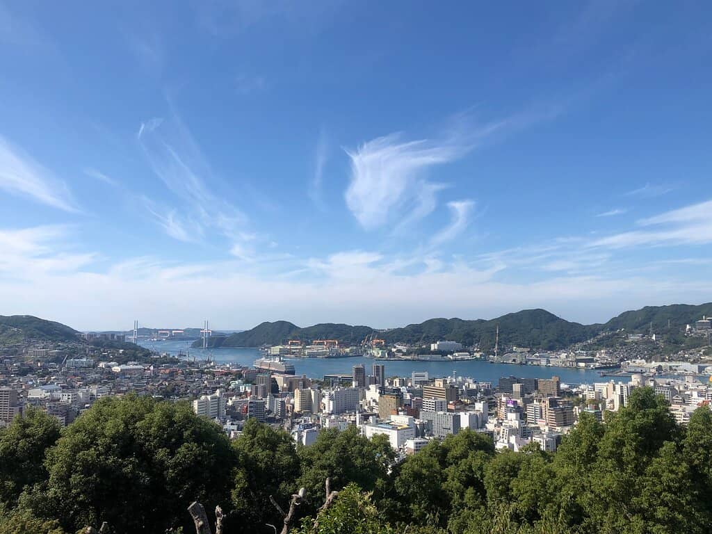 Seasonal Cherry Blossoms