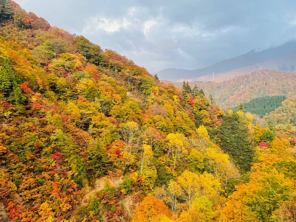 Spectacular Autumn Foliage