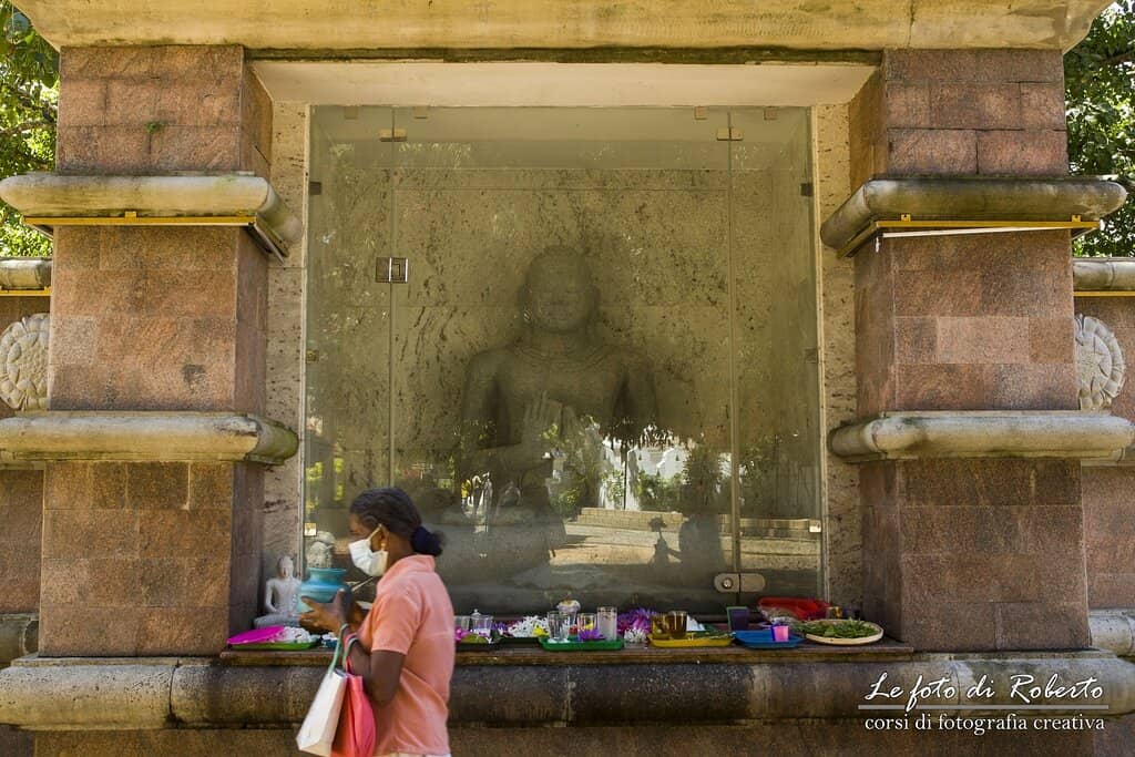 Bellanwila-Attidiya Wetland Park
