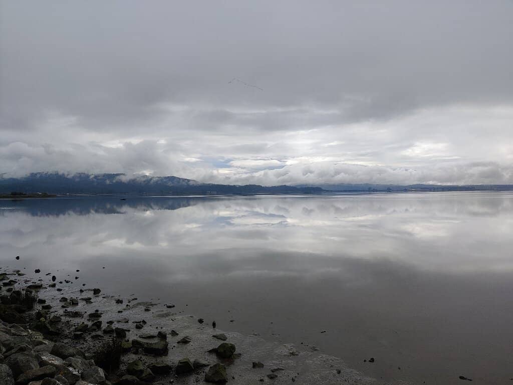 Abundant Flora & Fauna